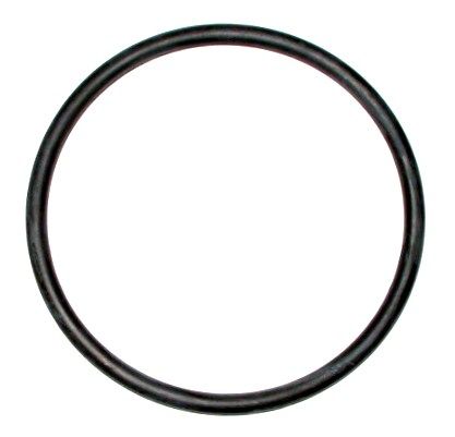 Кольцо уплотнительное помпы 40X/40V/50H/F30/F40/F50/F60/ Yamaha (T40E-17015)
