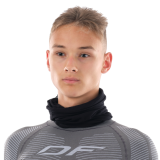 Бандана вискоза Dragonfly