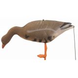 Чучело гуся FGS Белолобый (кормящийся, флоковый)