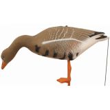 Чучело гуся FGS Белолобый (кормящийся, нефлоковый)