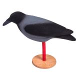 Ворона серая