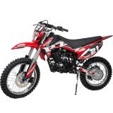 Мотоцикл Кросс Motoland RZ 200 (164FML) 19/16