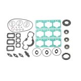 Полный комплект прокладок BRP 699 09-711222