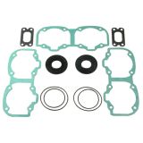 Набор прокладок двигателя с сальниками 550 Ski-Doo (MDG320) SPI