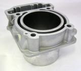 Цилиндр Skandic/Expedition V-800 Ski-Doo