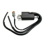 Катушка зажигания Skandic 600 Ski-Doo 410922935 SPI