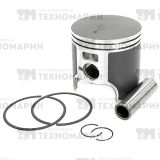 Поршень Polaris 550F (T-Moly, +0,25 мм) SM-09256-1