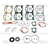 Полный комплект прокладок BRP 600 SM-09538F SPI
