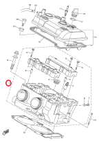 Головка блока цилиндров в сборе Venture MP Yamaha