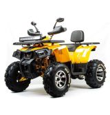 Квадроцикл VOX200 WILD TRACK X PRO (баланс. вал)23х7 R10 / 23х10 R10