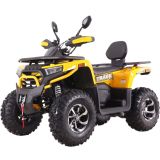 Квадроцикл VOX250 WILD TRACK X PLUS 23х7 R10 / 22х10 R10
